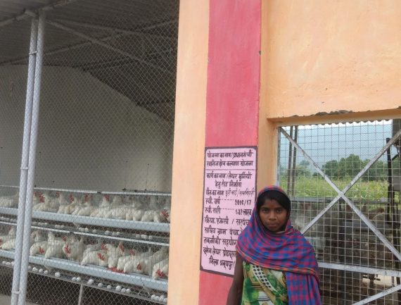 A woman near a chicken coop with a government program sign in Hindi, surrounded by white chickens.
