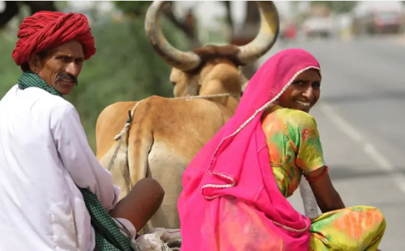 Man in red turban and white shirt on brown ox cart, with woman in pink sari and colourful blouse smiling. Ox pulls cart.