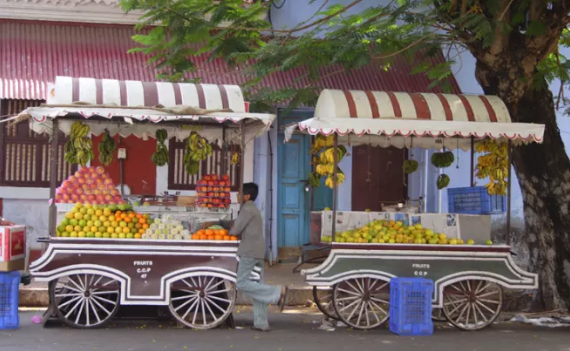 Man in white shirt and blue pants near two fruit carts on a street, with bananas, apples, oranges, lemons, and a tree in background.