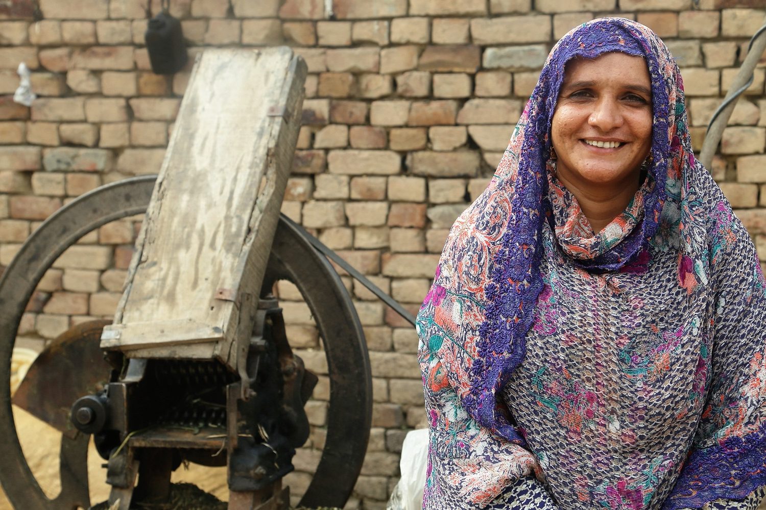 Enhancing women’s income through dairy interventions in Pakistan