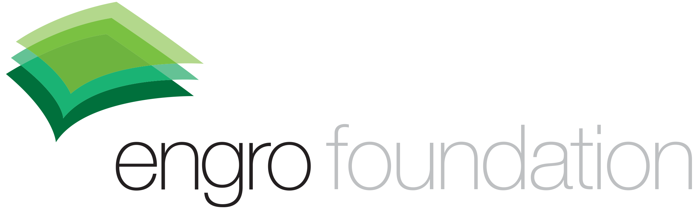 Engro Foundation Logo