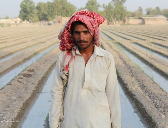 Man in white shirt and red & white headscarf in crop field, looking at camera.