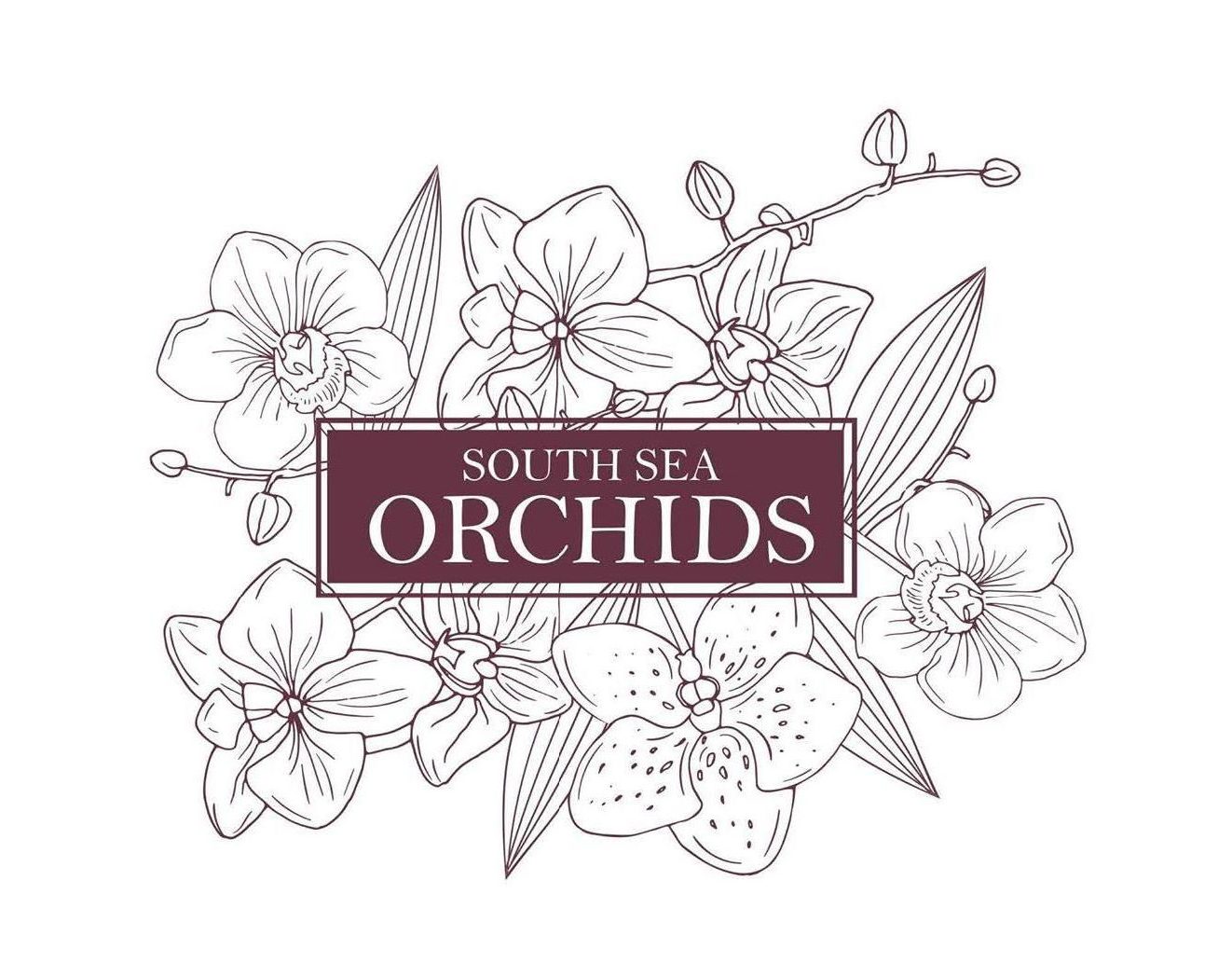 Drawing of Australian orchids with "South Sea Orchids" text in burgundy box.
