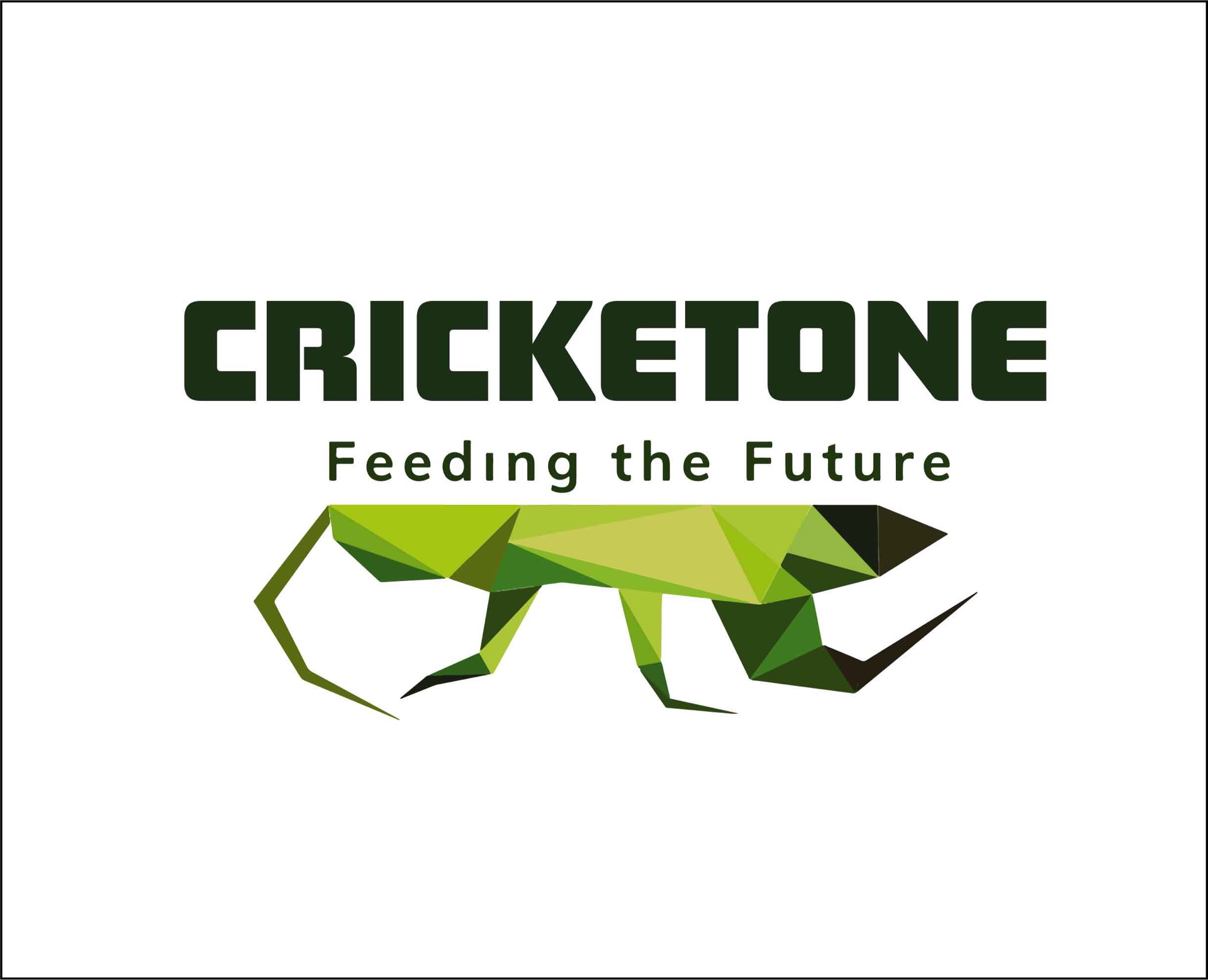 Logo for Australian company Cricketone with the slogan "Feeding the Future" and a green polygonal cricket.