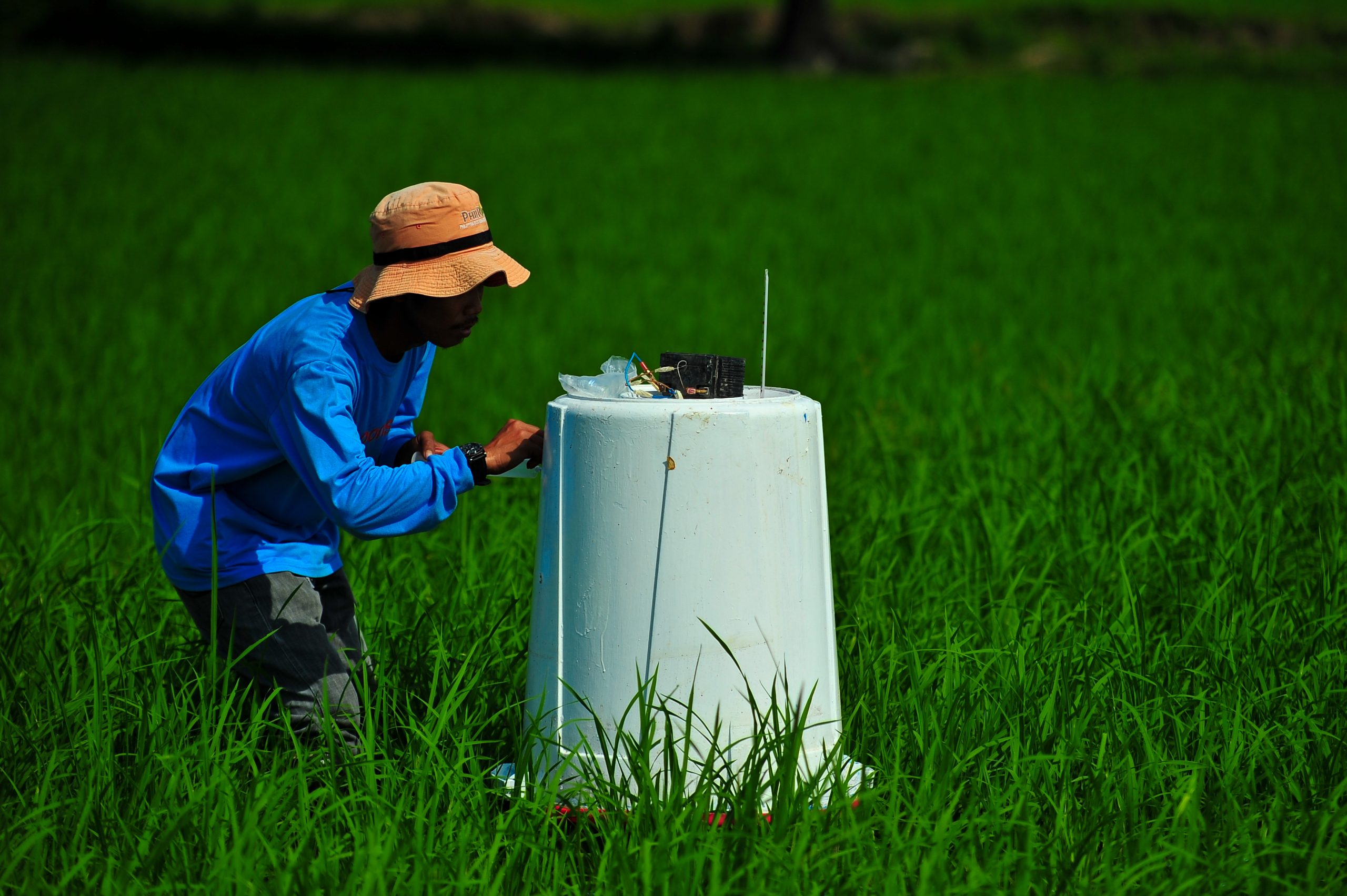 Incentivising low emissions rice production through satellite technology in Vietnam