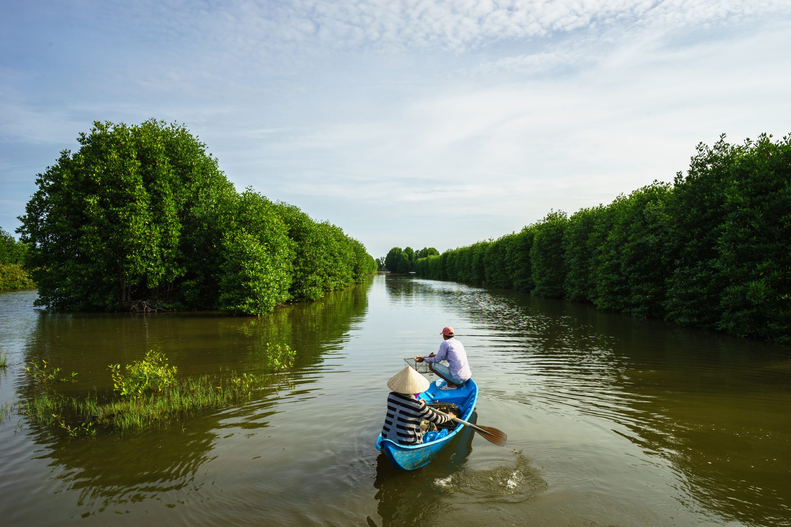 Scaling climate resilient mangrove shrimp farming in the Mekong Delta