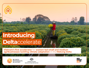 BPP launching Deltaccelerate website cover image