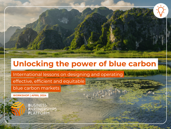 Cover image for a blue carbon event discussing lessons on effective blue carbon markets