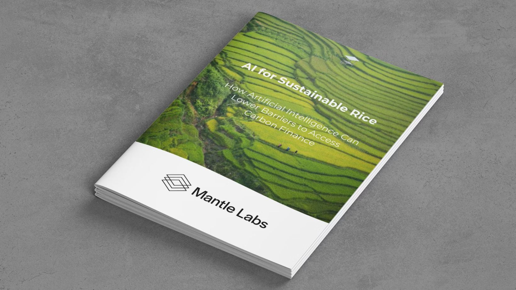 AI for sustainable rice report